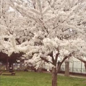 Meet your Posher, Geena